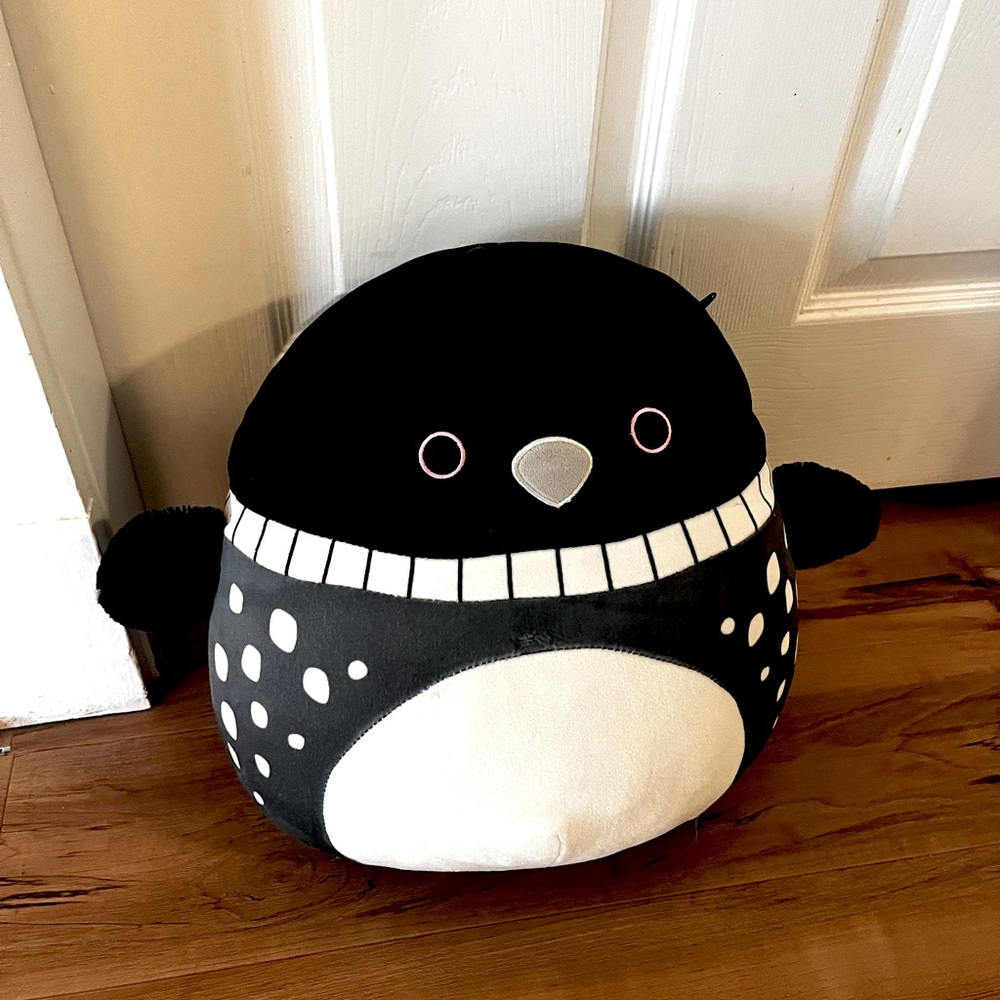 Rare Lenora Loon Squishmallow